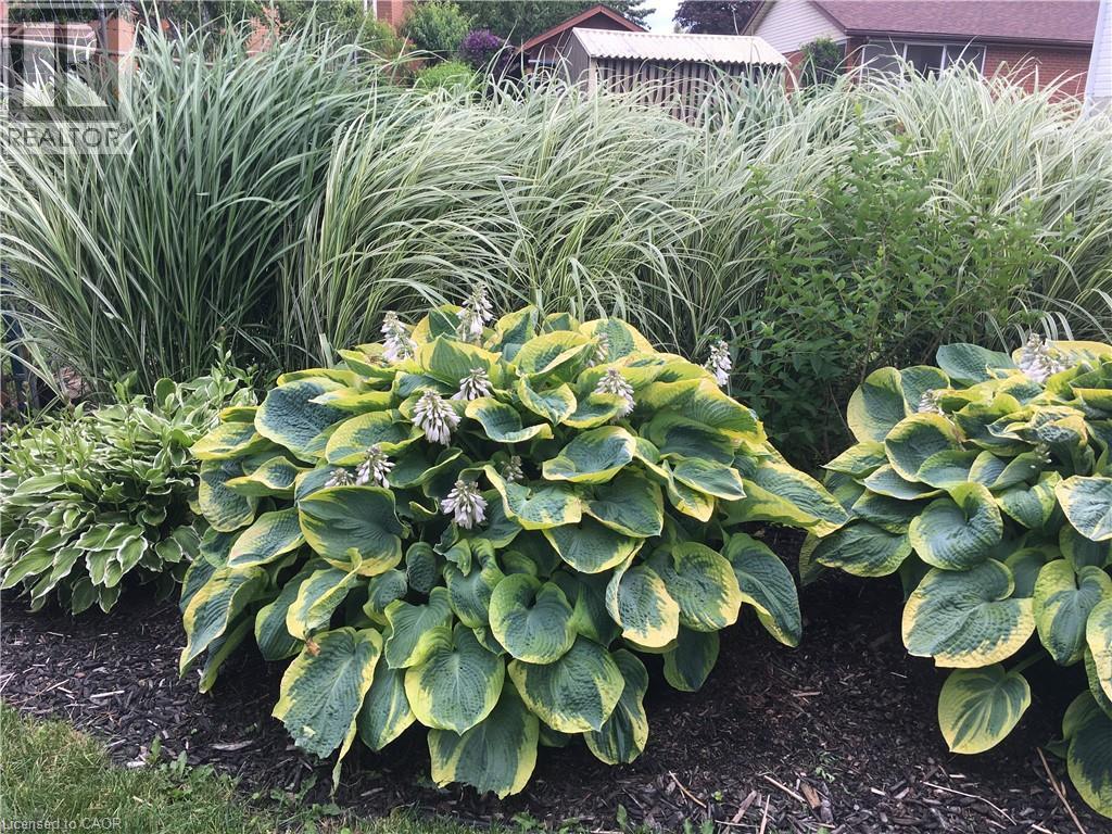 11 Wordsworth Place Unit# Lower, Kitchener, Ontario  N2B 3K6 - Photo 17 - 40786183