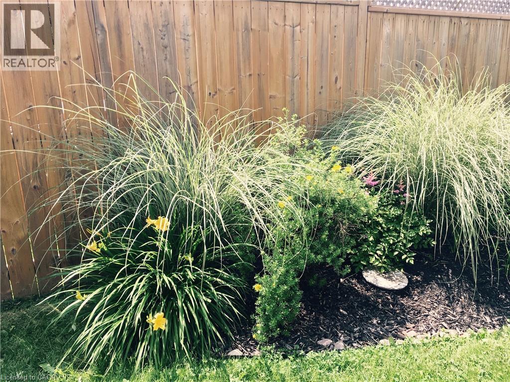 11 Wordsworth Place Unit# Lower, Kitchener, Ontario  N2B 3K6 - Photo 19 - 40786183