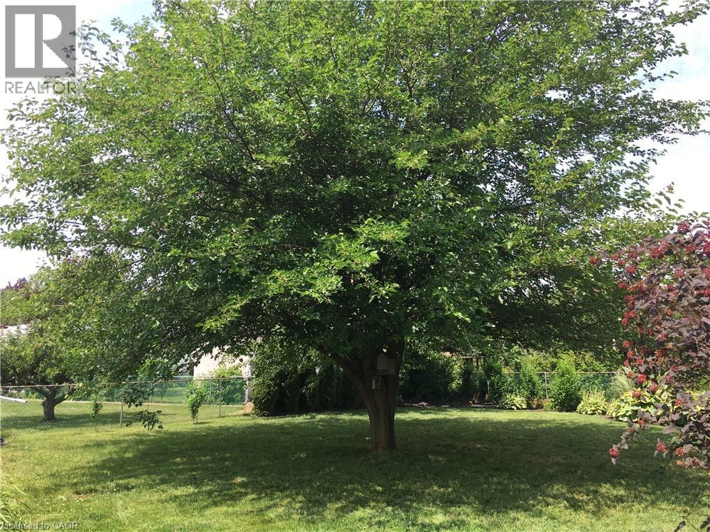 11 Wordsworth Place Unit# Lower, Kitchener, Ontario  N2B 3K6 - Photo 20 - 40786183