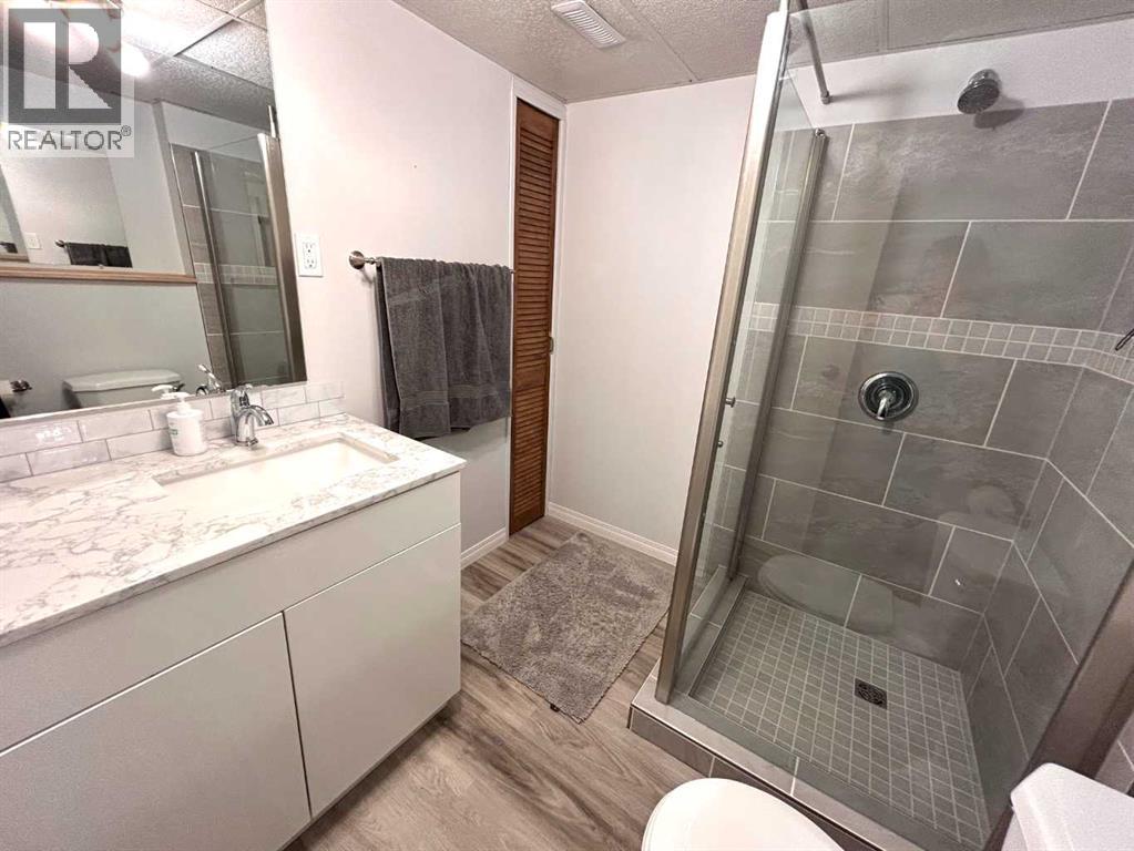 11 Lake Newell Crescent E, Brooks, Alberta  T1R 0L2 - Photo 19 - A2268628