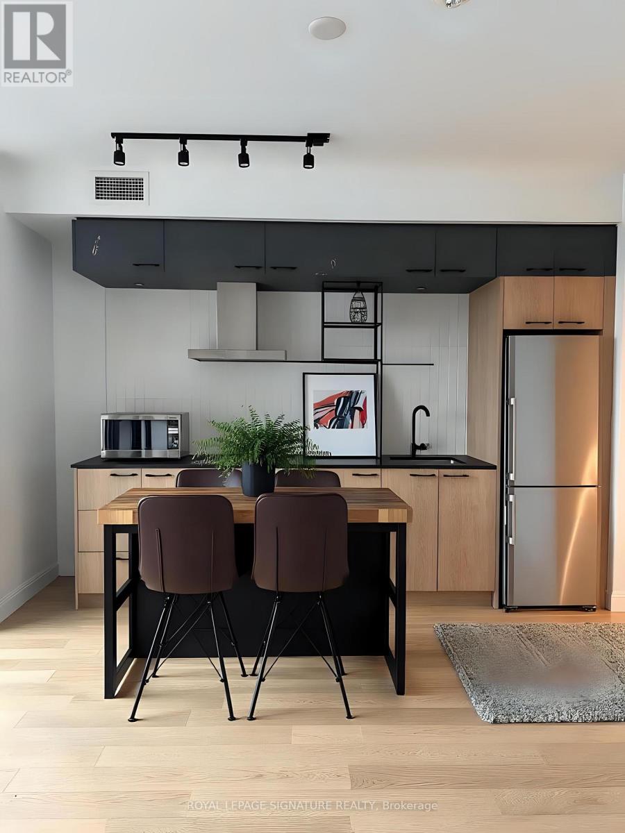 503 - 41 Dovercourt Road, Toronto, Ontario  M6J 3W6 - Photo 5 - C12526844