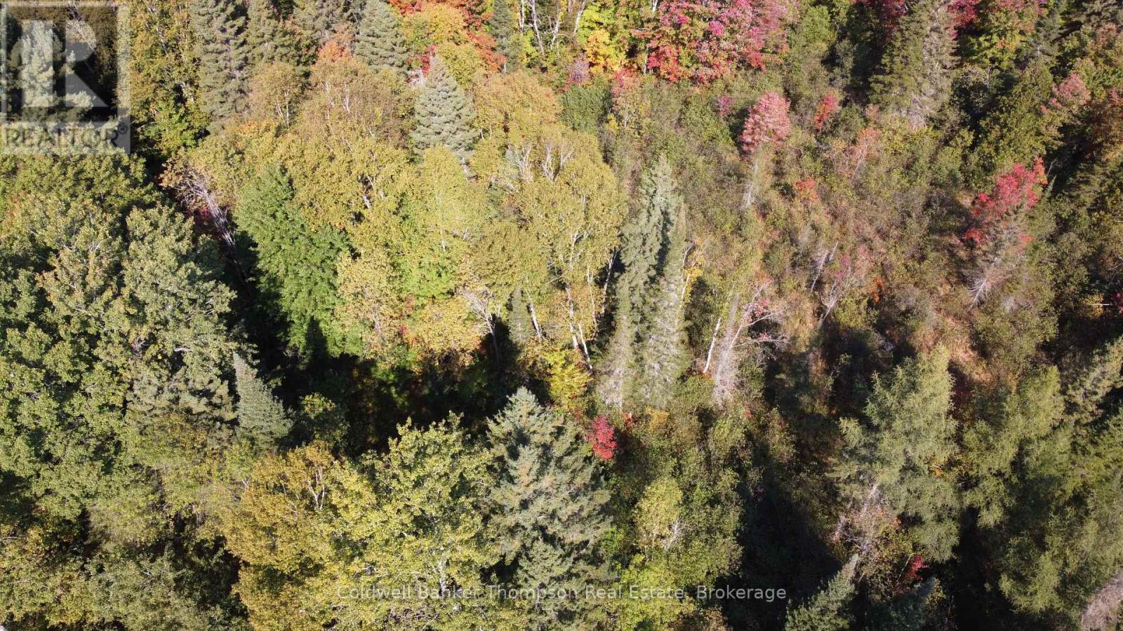 0 - Part 2 So-Ho Mish Road, Armour, Ontario P0A 1Y0 - Photo 17 - X12526922