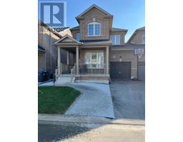 18 LADYSMITH (BASEMENT) STREET, Brampton, Ontario