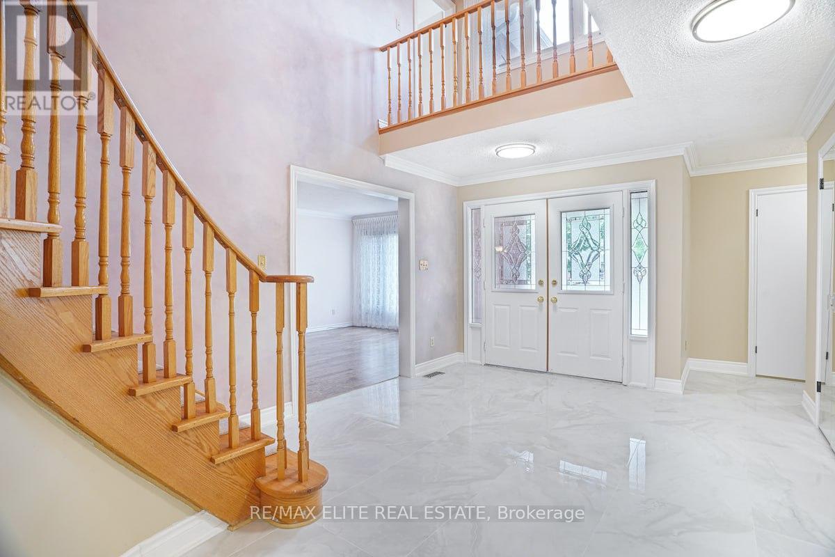 Main - 219 Connaught Avenue, Toronto, Ontario  M2M 1H6 - Photo 10 - C12527070