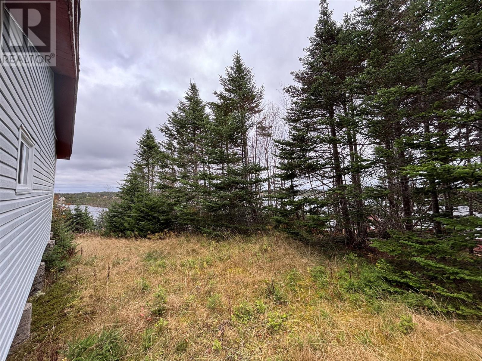 14 Antle’s Hill, Brigus Junction, Newfoundland & Labrador  A0B 1G0 - Photo 4 - 1292280