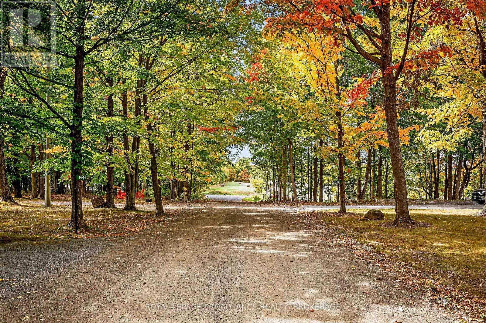 1445 Rickards Road, Frontenac, Ontario  K0H 2L0 - Photo 45 - X12415042