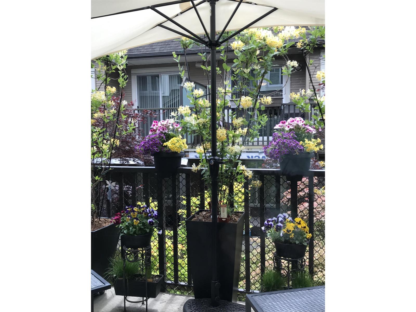 61 8250 209b Street, Langley, British Columbia  V2Y 0J7 - Photo 21 - R3062388