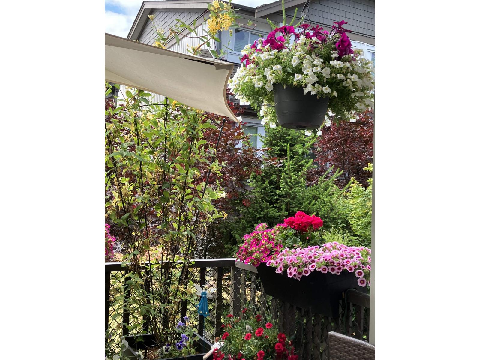 61 8250 209b Street, Langley, British Columbia  V2Y 0J7 - Photo 20 - R3062388