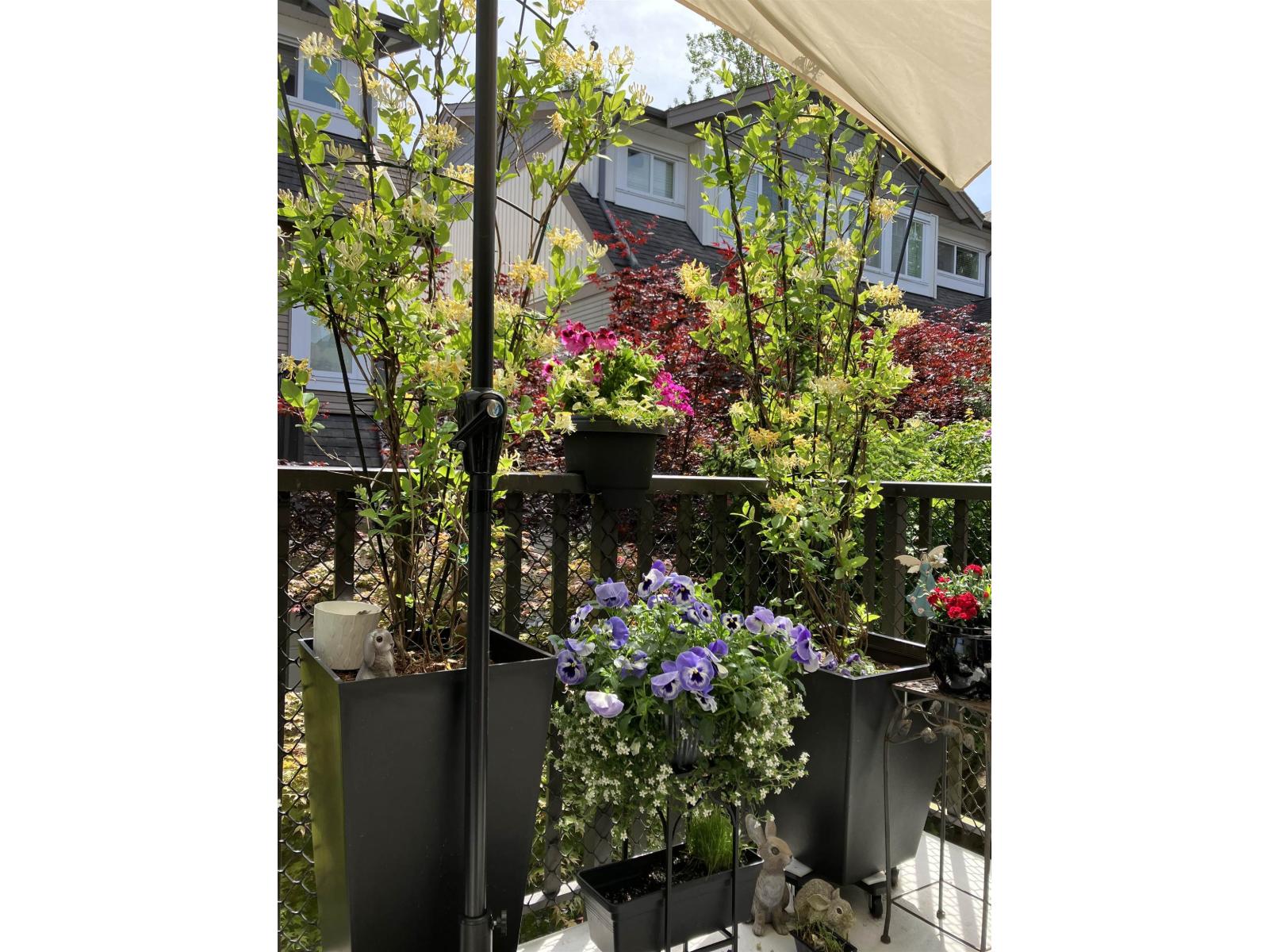 61 8250 209b Street, Langley, British Columbia  V2Y 0J7 - Photo 22 - R3062388