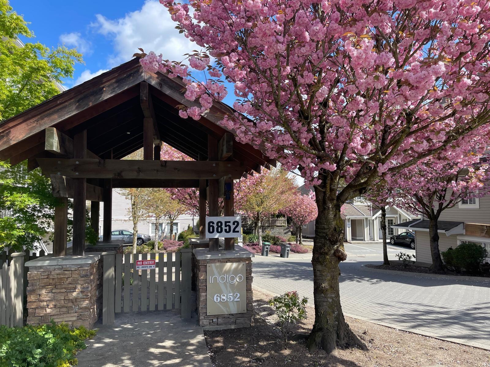 18 6852 193 Street, Surrey, British Columbia  V4N 0C8 - Photo 24 - R3064936