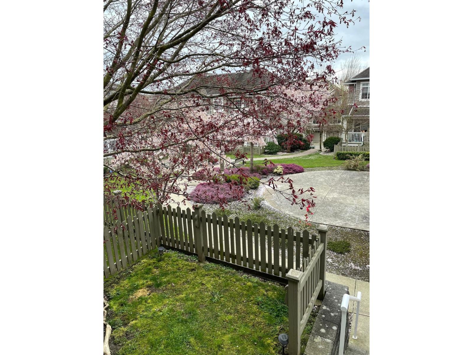 18 6852 193 Street, Surrey, British Columbia  V4N 0C8 - Photo 22 - R3064936