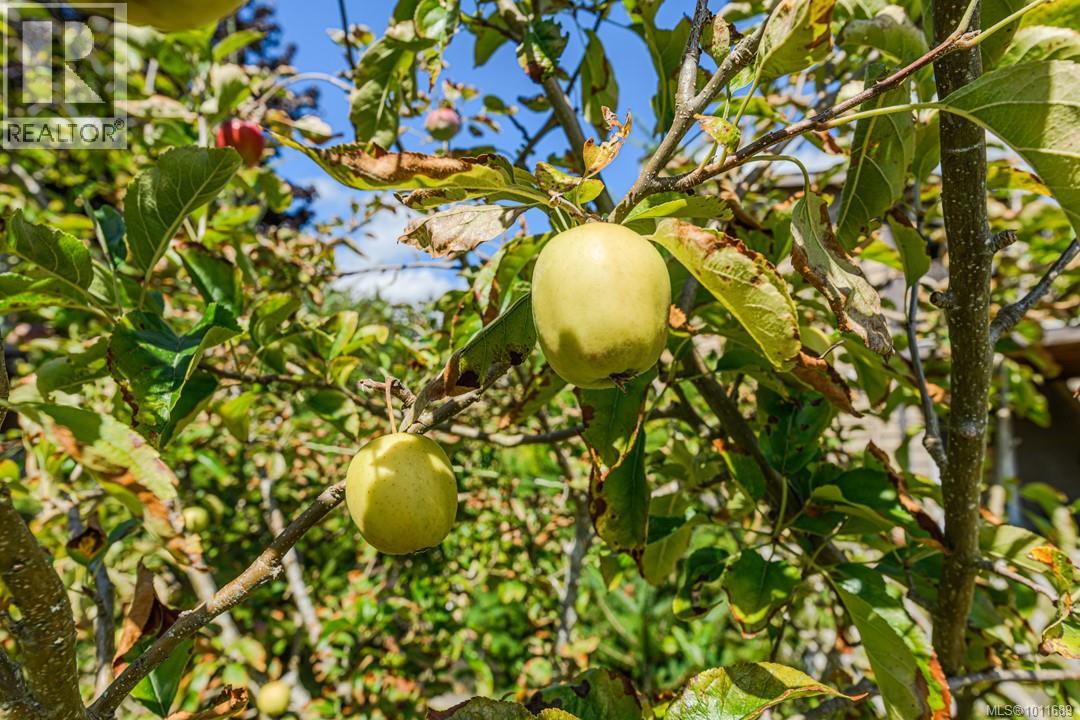 128 Paddock Pl, View Royal, British Columbia  V9B 5G2 - Photo 37 - 1011689