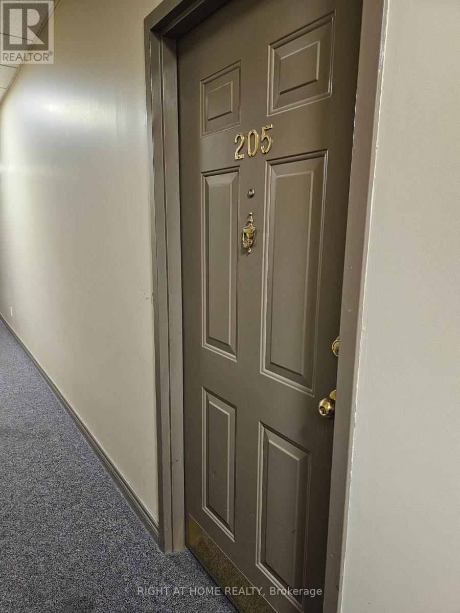 205 - 524 Yonge Street, Toronto, Ontario  M4Y 1X9 - Photo 3 - C12527266