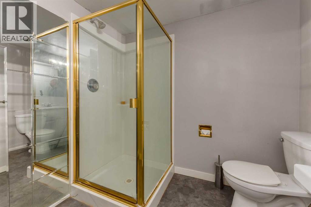 263 Silver Mead Close Nw, Calgary, Alberta  T3B 3M7 - Photo 33 - A2261805