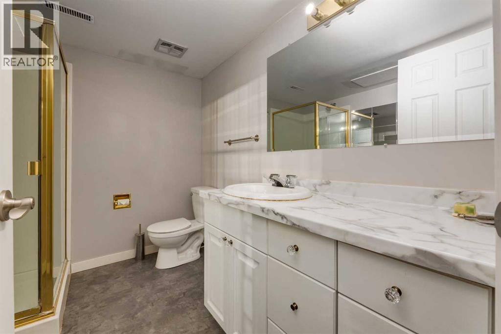 263 Silver Mead Close Nw, Calgary, Alberta  T3B 3M7 - Photo 32 - A2261805