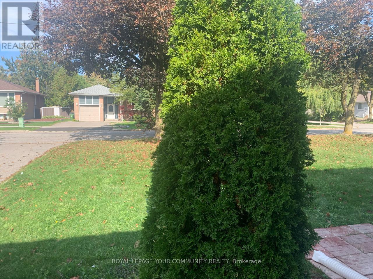 Lower Unit - 151 Goulding Avenue, Toronto, Ontario  M2M 1L5 - Photo 23 - C12527288