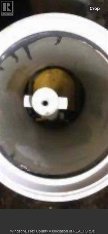 1006 Buckingham Road, Windsor, Ontario  N8S 2E3 - Photo 36 - 25028410