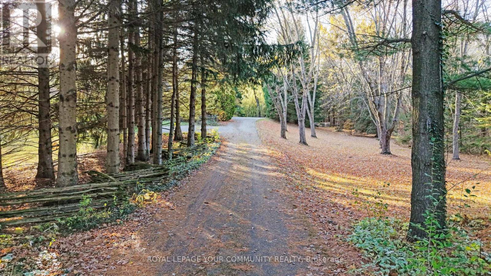 1538 Concession Rd 4 Concession, Adjala-Tosorontio, Ontario  L0G 1L0 - Photo 10 - N12527392