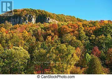 38 Sloan Drive, Milton, Ontario  L9T 5P7 - Photo 27 - W12525354