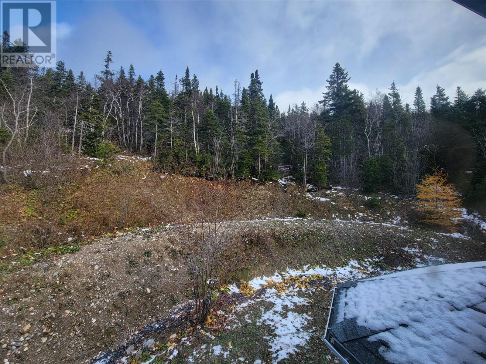 19 Prince Charles Road, Massey Drive, Newfoundland & Labrador  A2H 7A6 - Photo 18 - 1292421