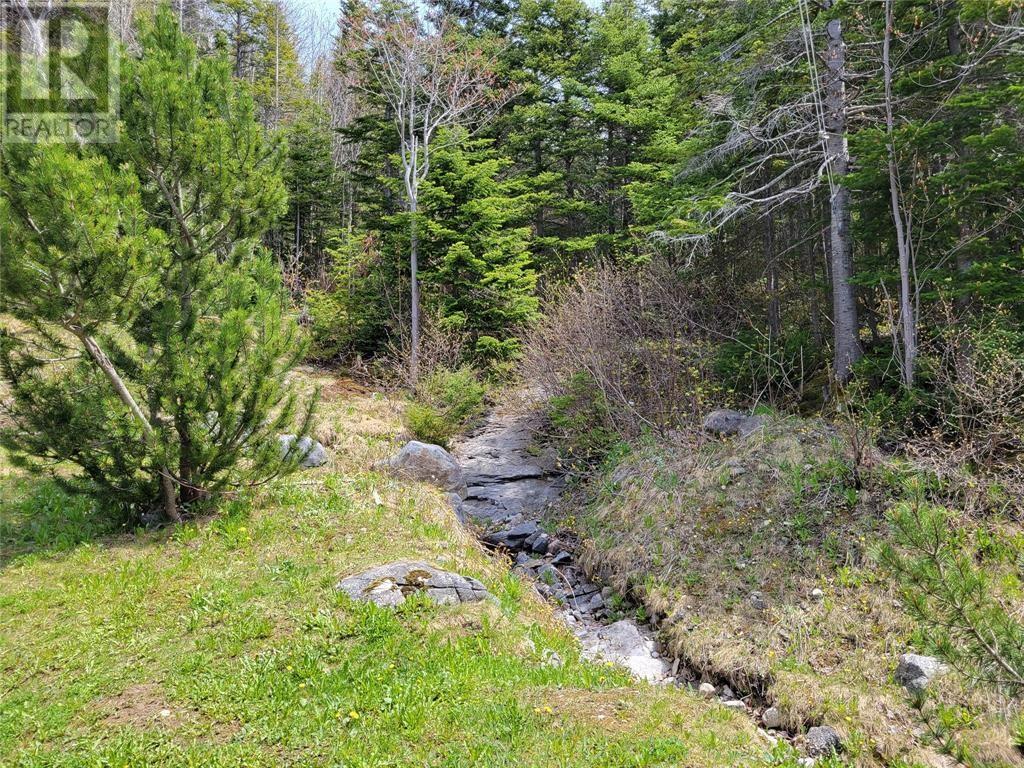 19 Prince Charles Road, Massey Drive, Newfoundland & Labrador  A2H 7A6 - Photo 3 - 1292421