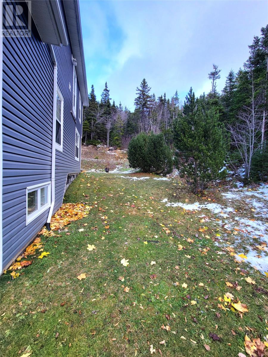 19 Prince Charles Road, Massey Drive, Newfoundland & Labrador  A2H 7A6 - Photo 5 - 1292421