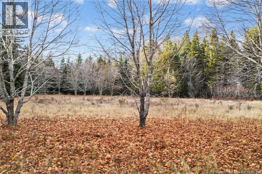 Lot Kay Road, Saint-Antoine, New Brunswick  E4V 2S4 - Photo 5 - NB129752