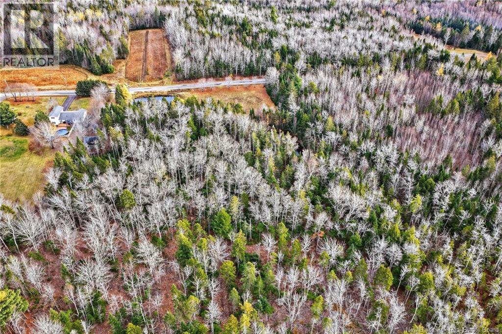Lot Kay Road, Saint-Antoine, New Brunswick  E4V 2S4 - Photo 18 - NB129752