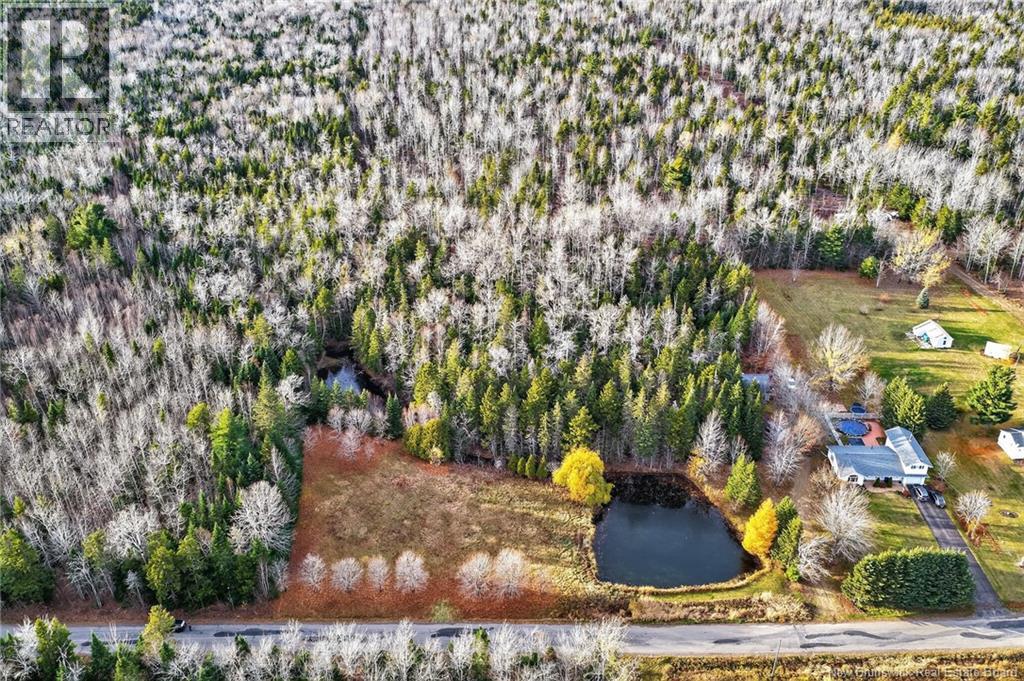 Lot Kay Road, Saint-Antoine, New Brunswick  E4V 2S4 - Photo 11 - NB129752