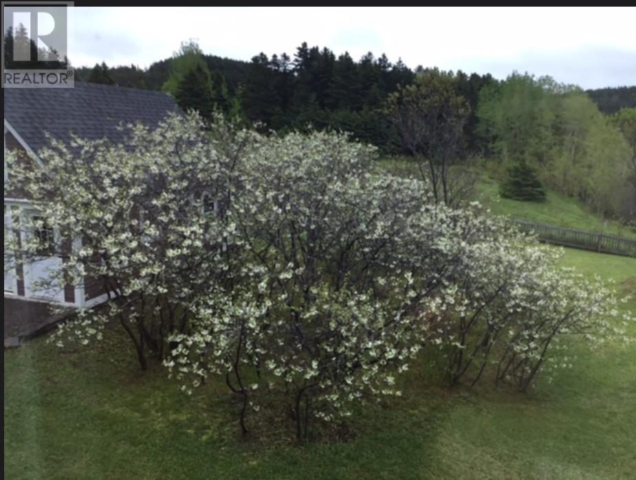 5 Clary Loveless Road, Cottrell's Cove, Newfoundland & Labrador  A0H 1L0 - Photo 43 - 1292449