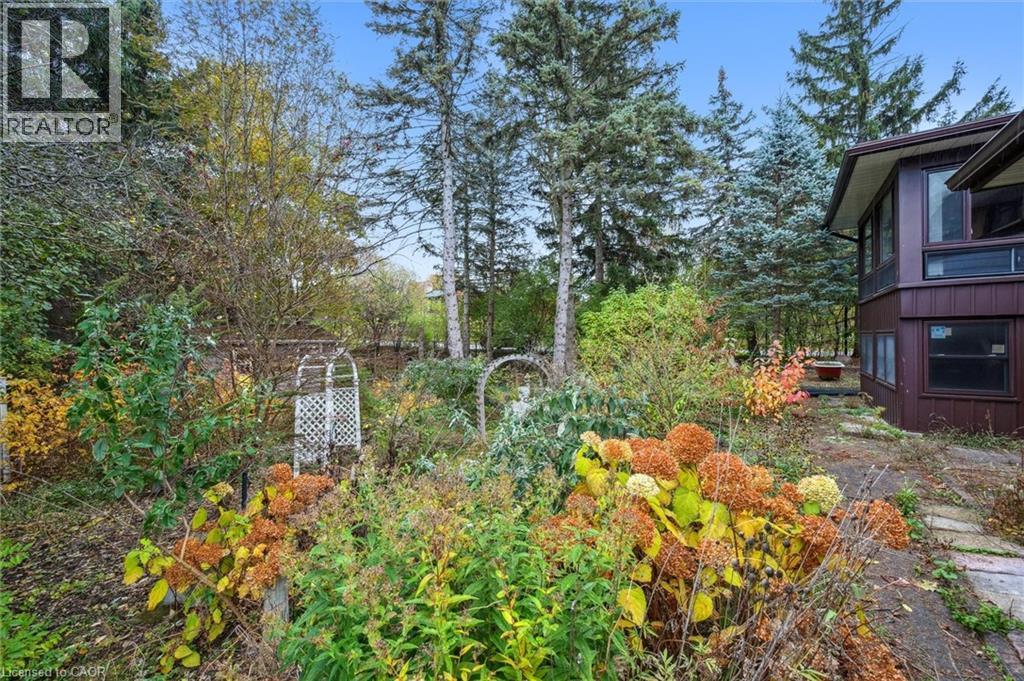 1 Marketa Crescent, Kitchener, Ontario  N2B 3B5 - Photo 42 - 40785193