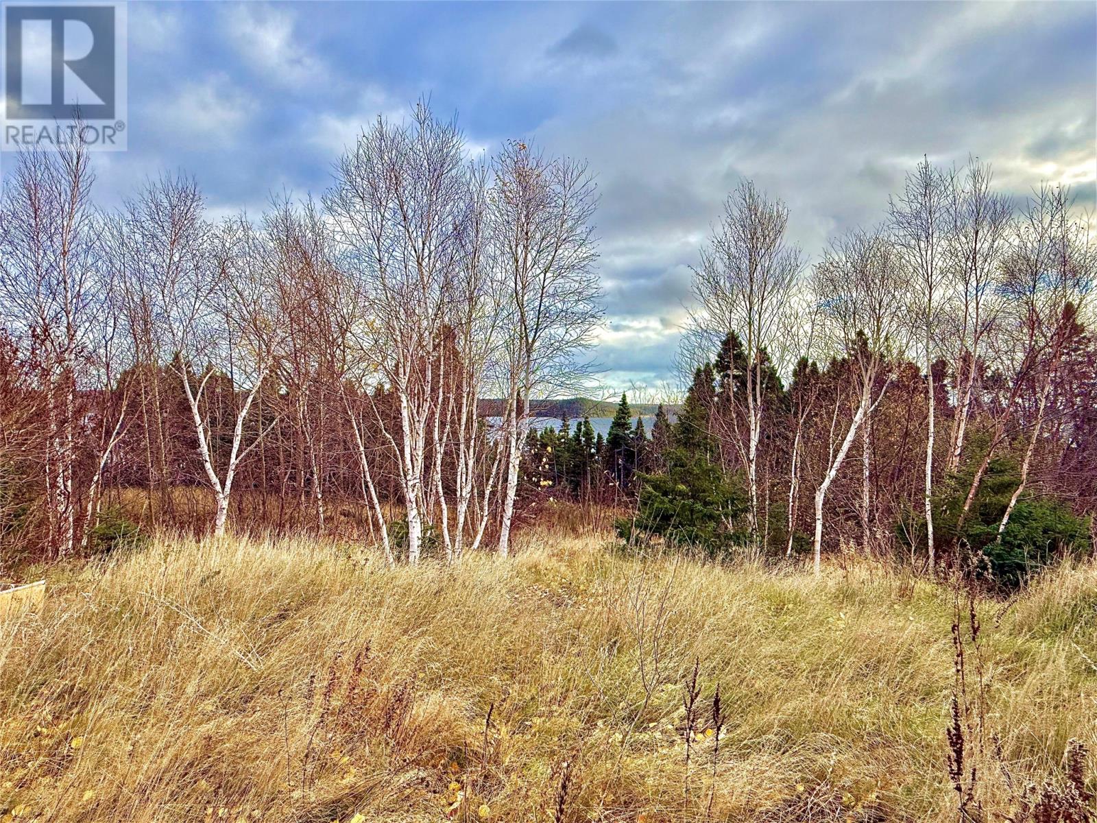 144 Goose Bay Drive, Musgravetown, Newfoundland & Labrador  A0C 1Z0 - Photo 12 - 1292469