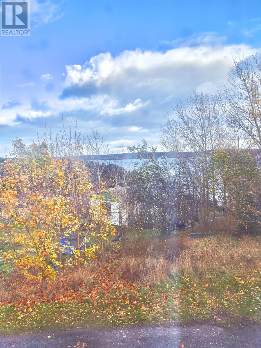 144 Goose Bay Drive, Musgravetown, Newfoundland & Labrador  A0C 1Z0 - Photo 25 - 1292469