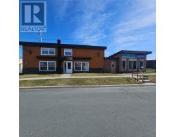 41 Cashin Avenue, St. John's, Newfoundland & Labrador