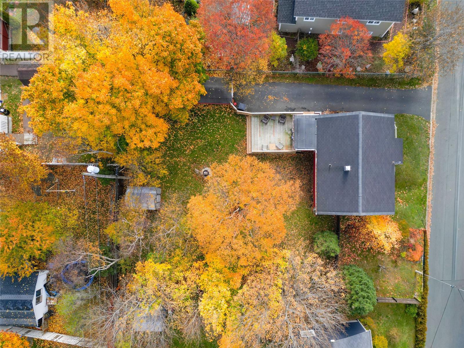 12 Parsons Avenue, Mount Pearl, Newfoundland & Labrador  A1N 1P6 - Photo 19 - 1292477