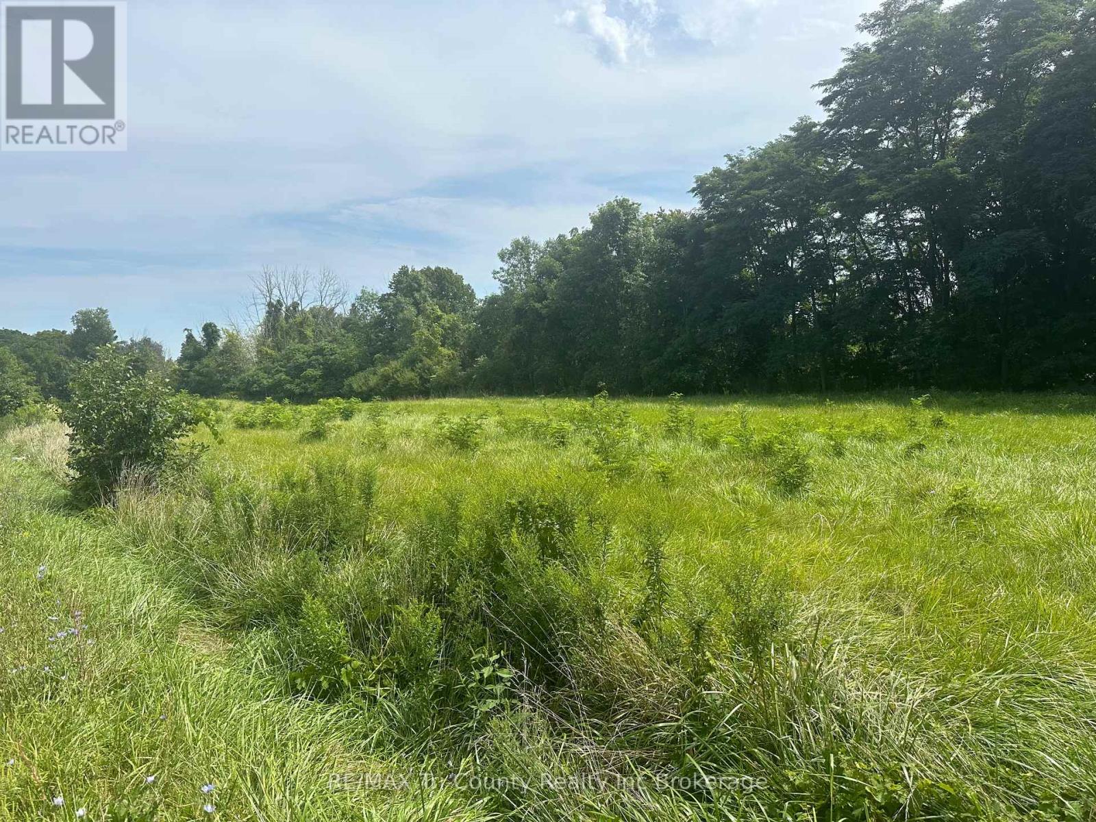 Pt Lt 3 Lakeshore Road, Norfolk, Ontario  N0E 1M0 - Photo 5 - X12527588