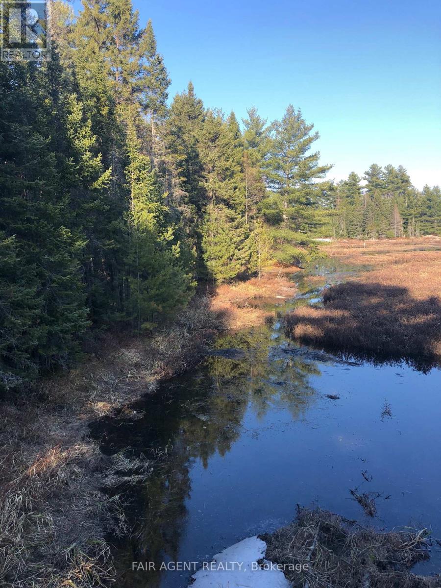 68 Wah-Wash-Kesh Road, Whitestone, Ontario  P0A 1G0 - Photo 27 - X12527624