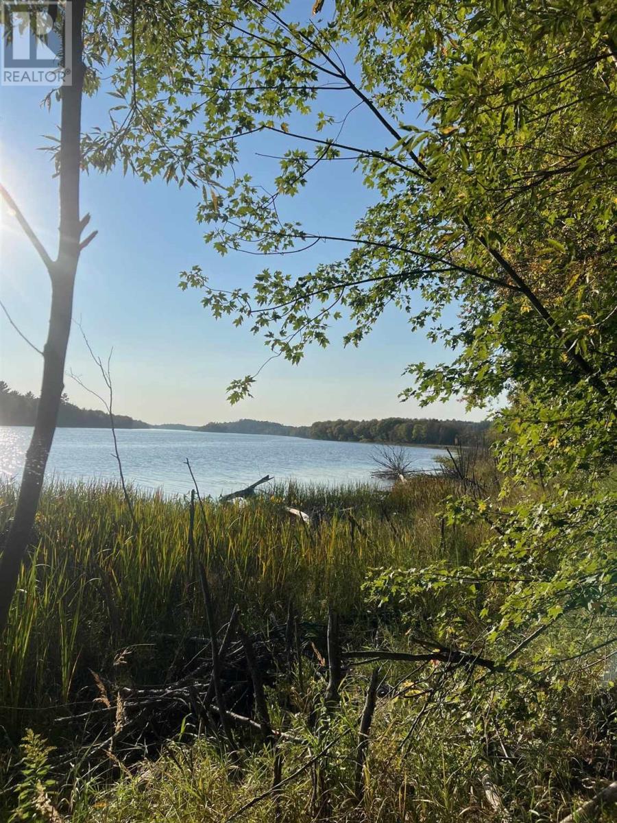 . River Rd, Walford, Ontario  P0P 2E0 - Photo 6 - SM253214