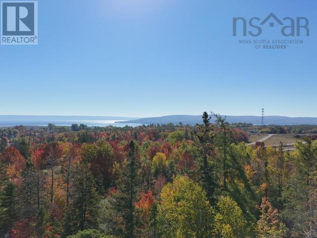 Lot 1a-1 Big Baddeck Road, Baddeck, Nova Scotia  B0E 1B0 - Photo 5 - 202525836