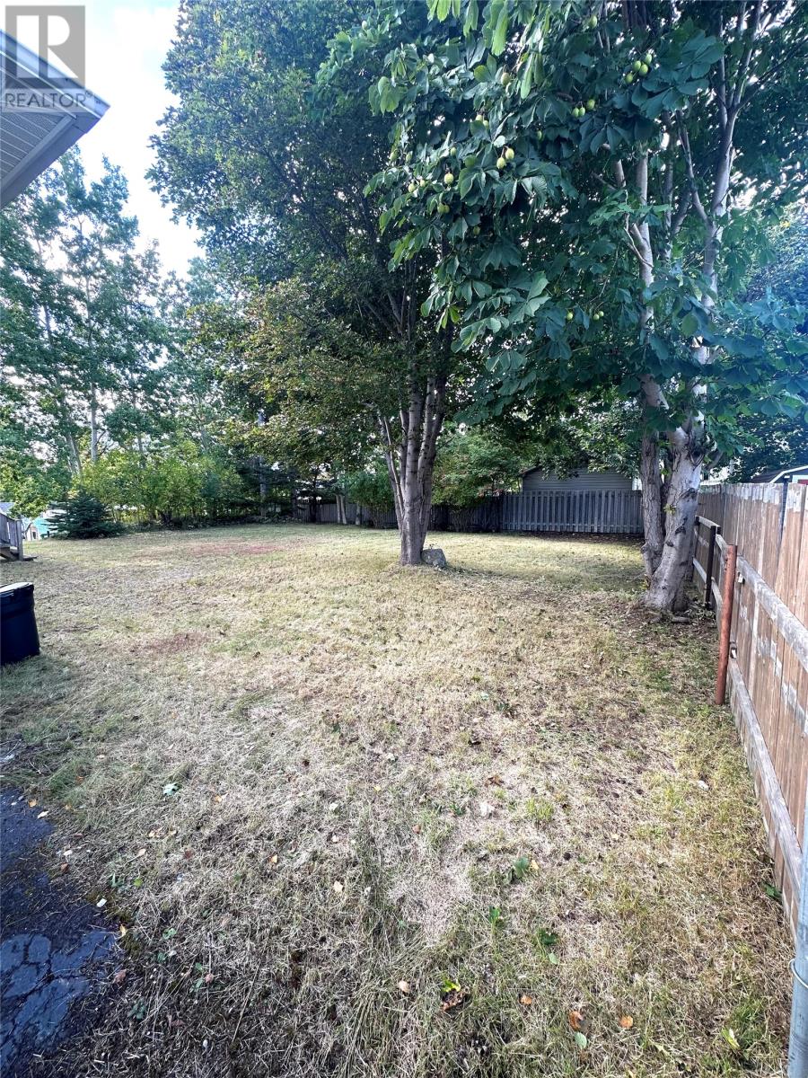 19 Gately Street, Grand Falls-Windsor, Newfoundland & Labrador  A2A 2H2 - Photo 9 - 1292479