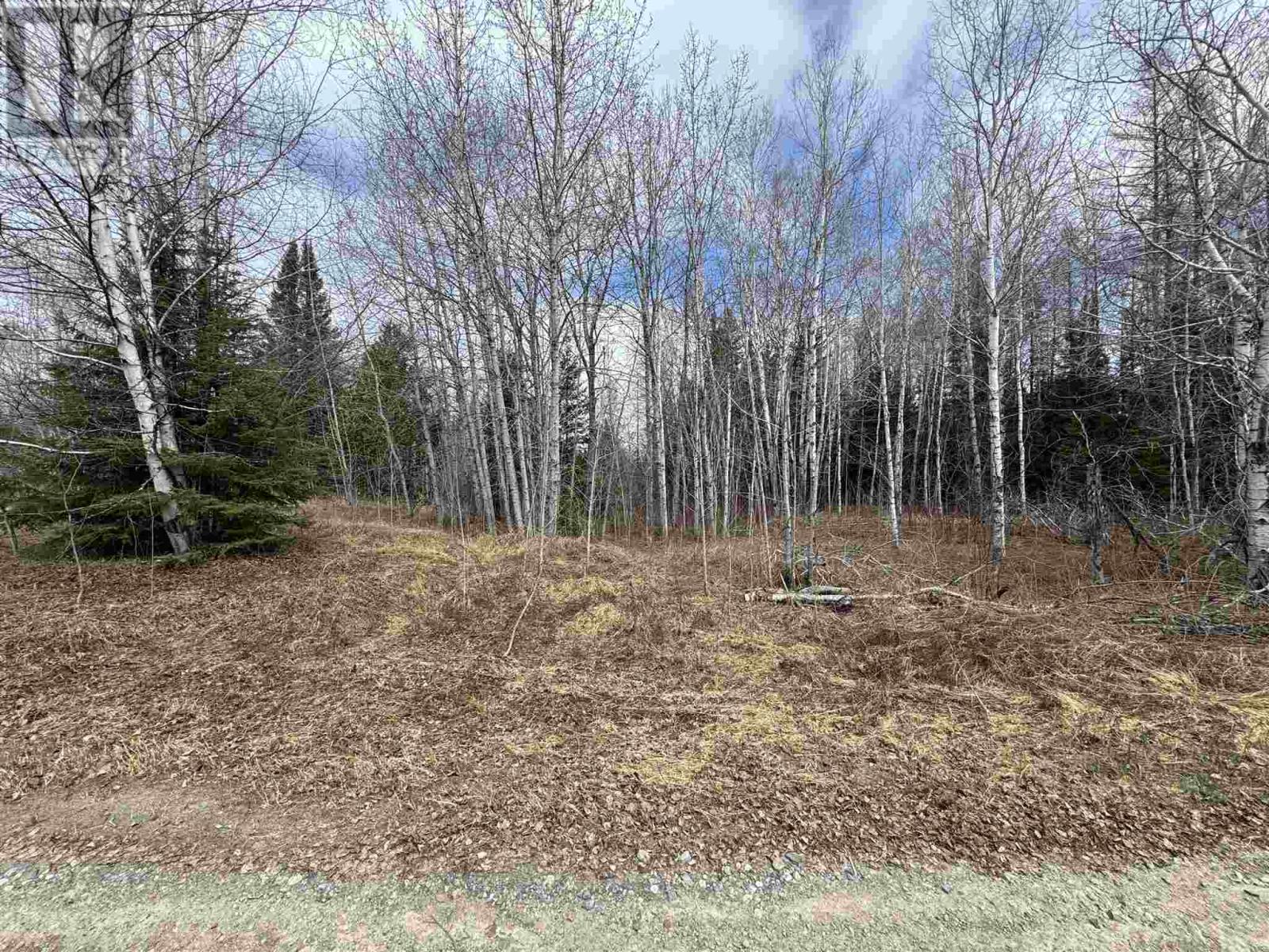 PCL 13428 Line Mac RD, Nemegos, Ontario