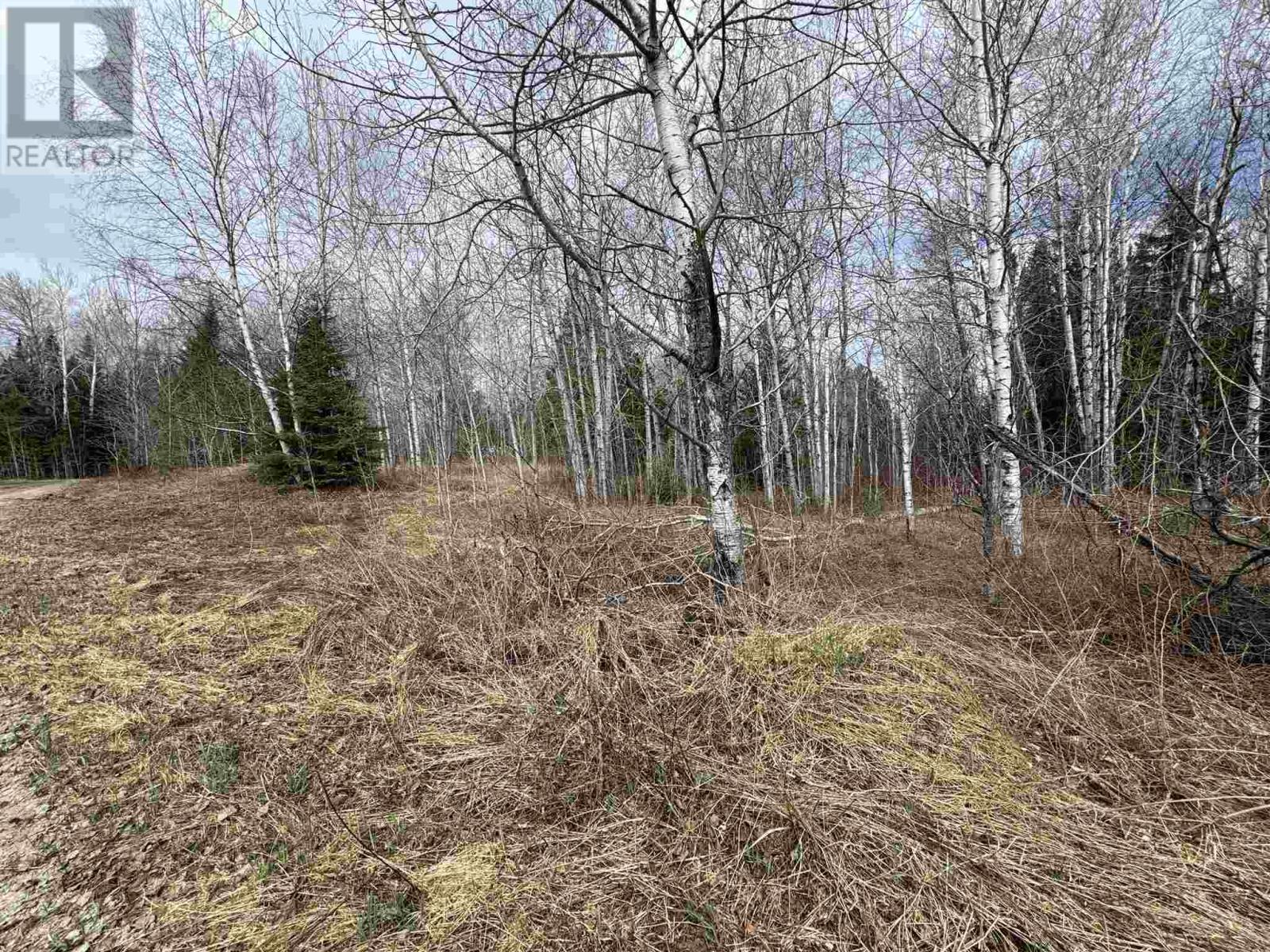 Pcl 13428 Line Mac Rd, Nemegos, Ontario  P0M 1K0 - Photo 2 - SM250943