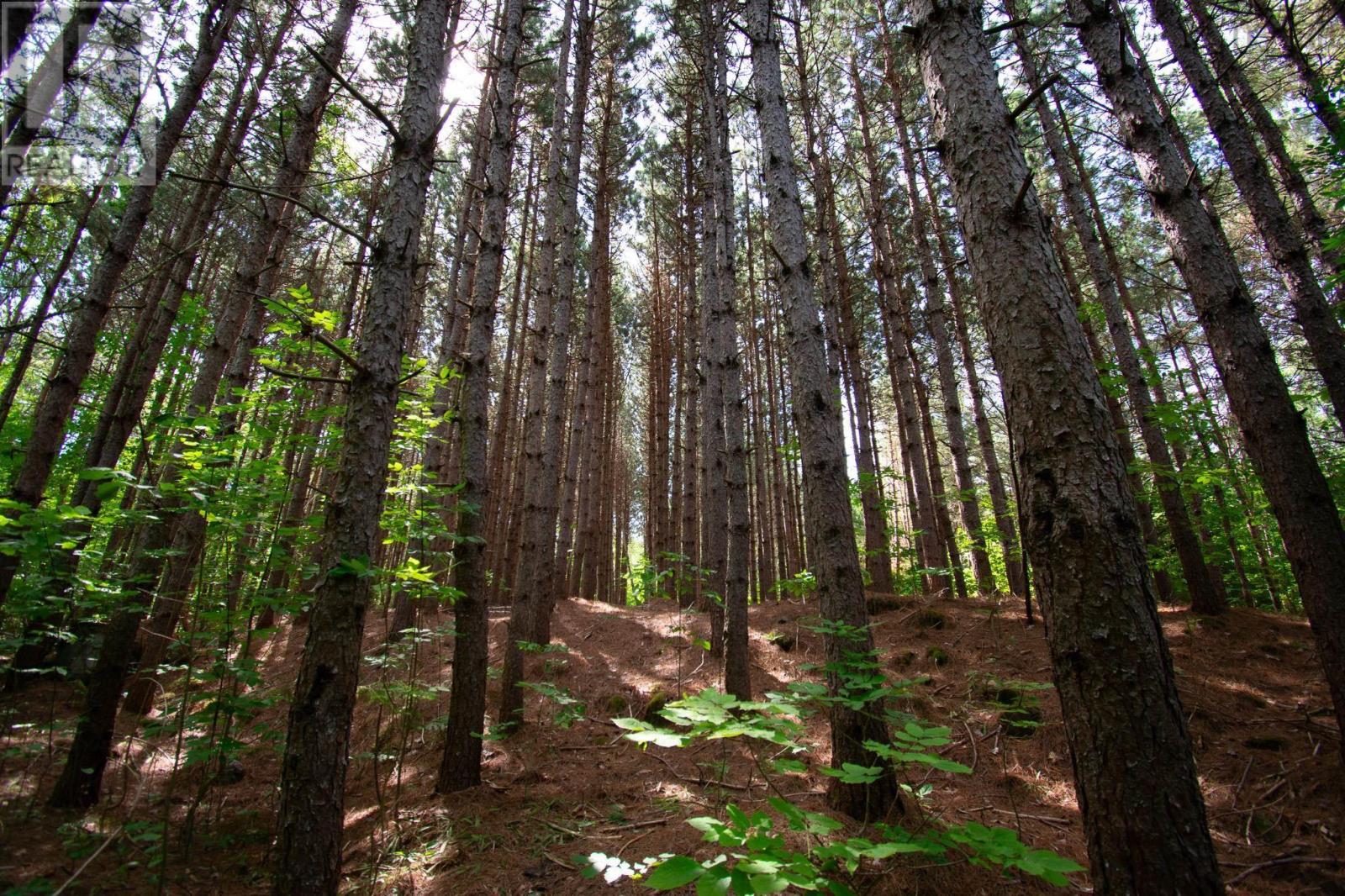 562 Messenger Road, Tremont, Nova Scotia  B0P 1R0 - Photo 16 - 202527080