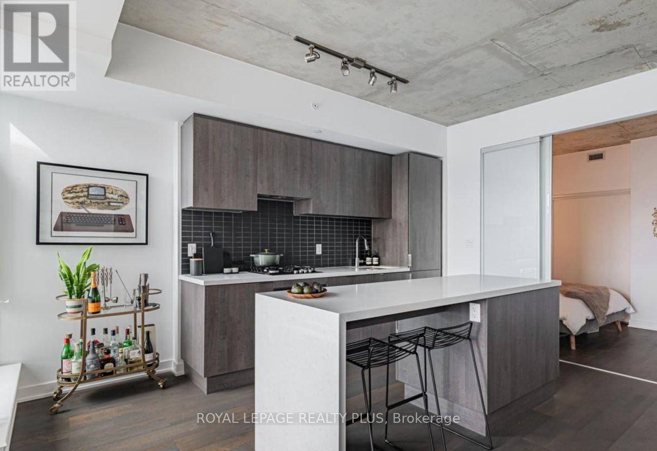 407 - 109 Ossington Avenue, Toronto, Ontario  M6J 2Z2 - Photo 11 - C12527828