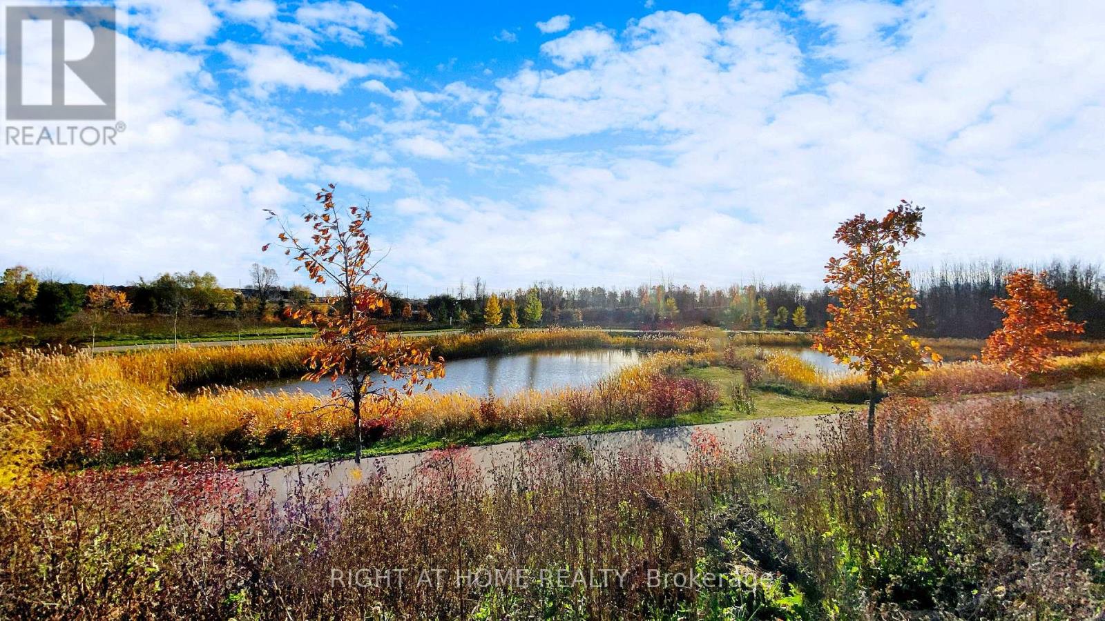 76 Auckland Drive, Whitby, Ontario  L1P 0G7 - Photo 43 - E12527904