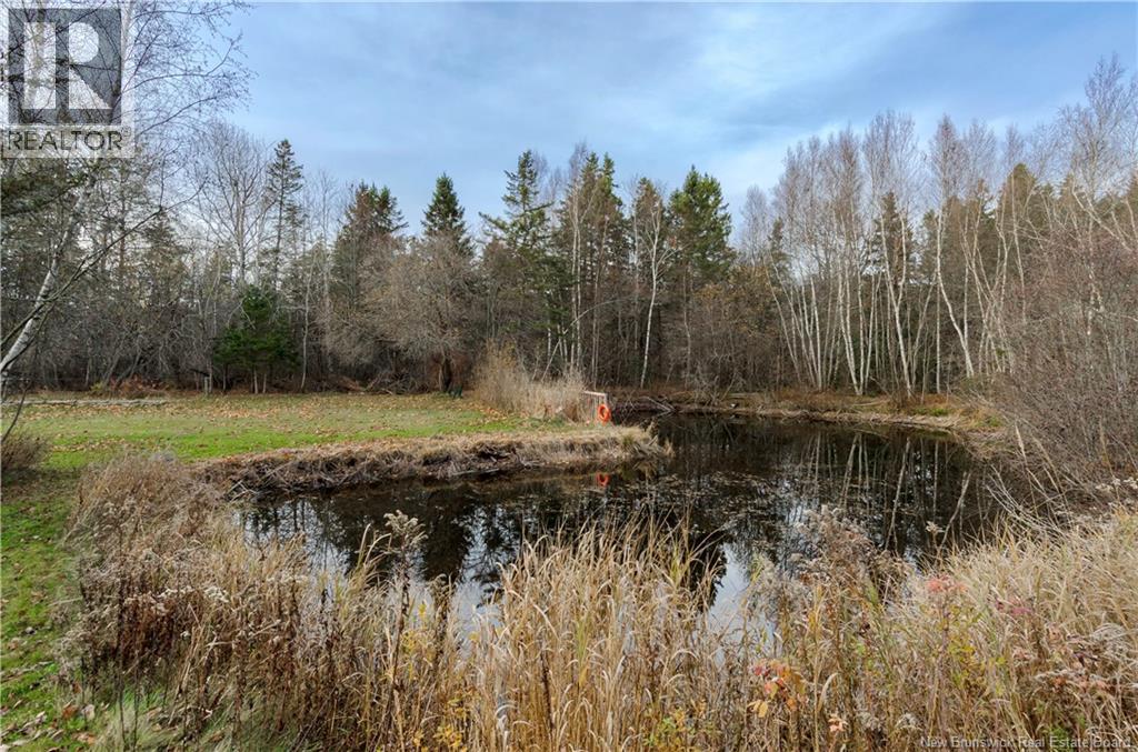 26 Dunsinane S Road, Penobsquis, New Brunswick  E4G 2A5 - Photo 16 - NB129505