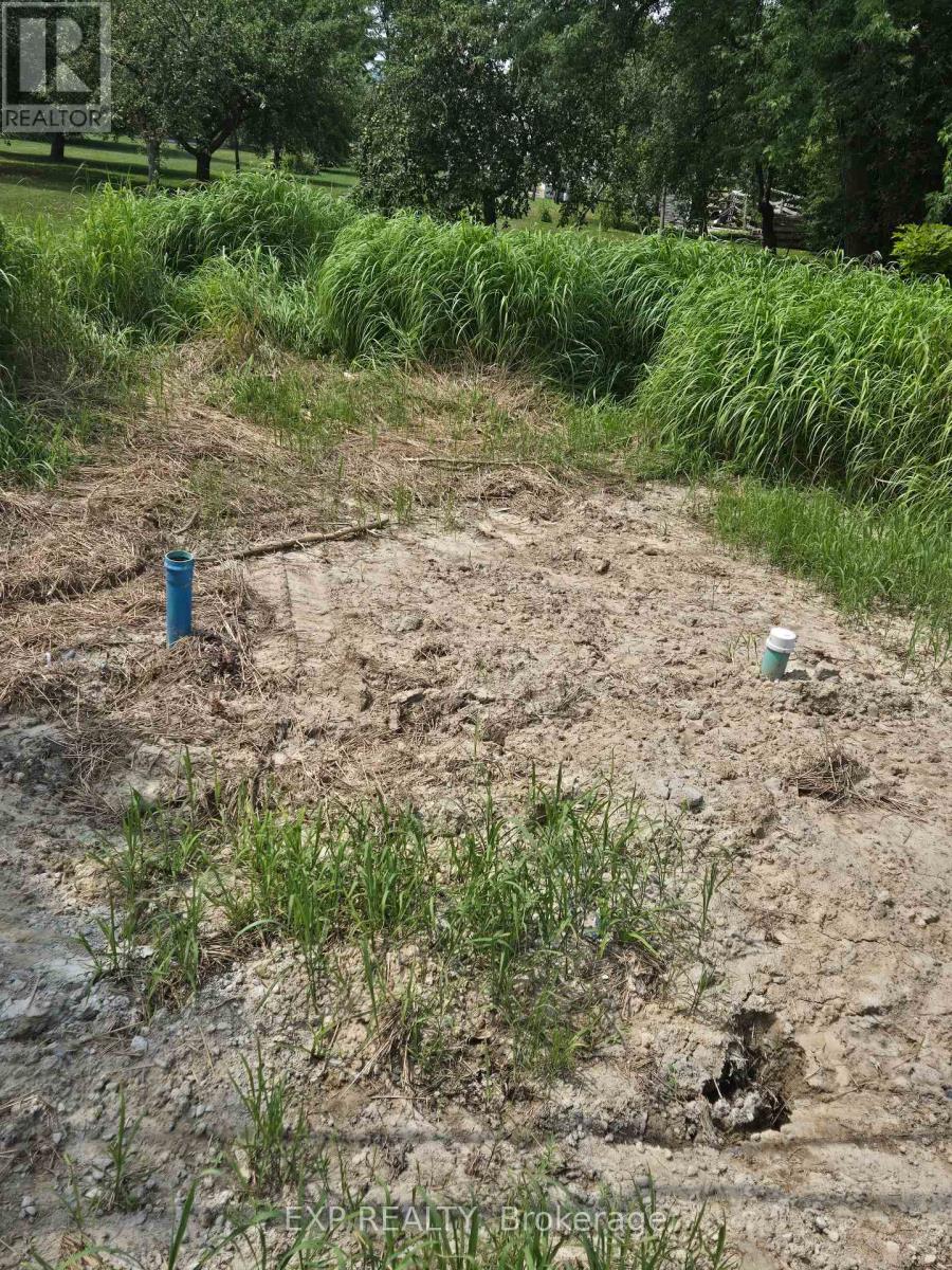 N/a Metro Road N, Georgina, Ontario  L4P 3C8 - Photo 7 - N12528042