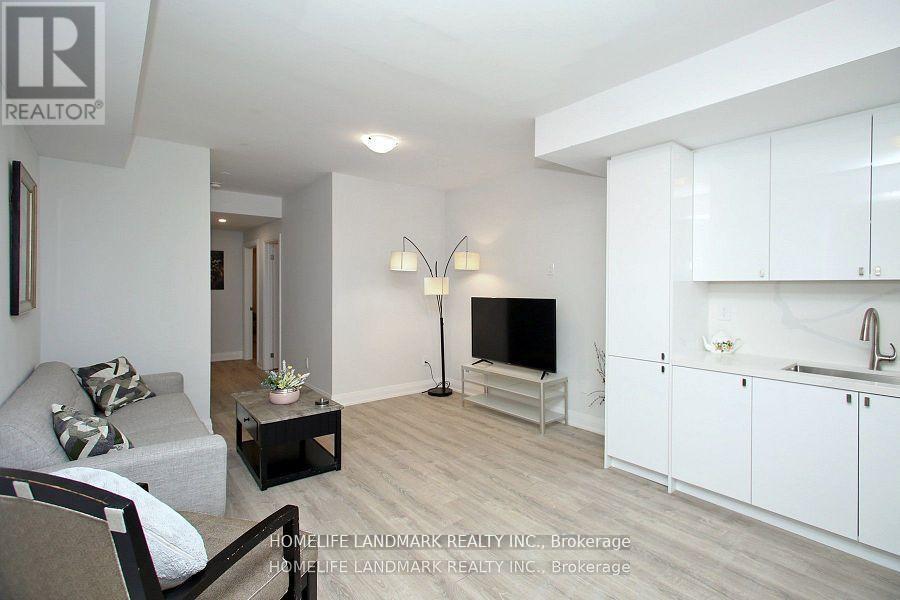 Basement - 42 Seguin Street, Richmond Hill, Ontario  L4E 1H9 - Photo 4 - N12528052