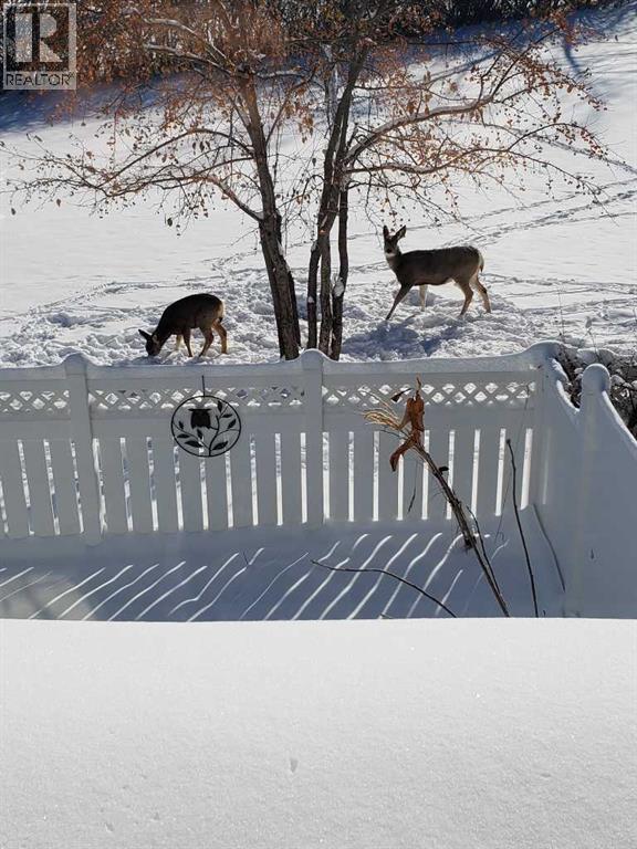 24 Wood Crescent Sw, Calgary, Alberta  T2W 4B6 - Photo 42 - A2267237