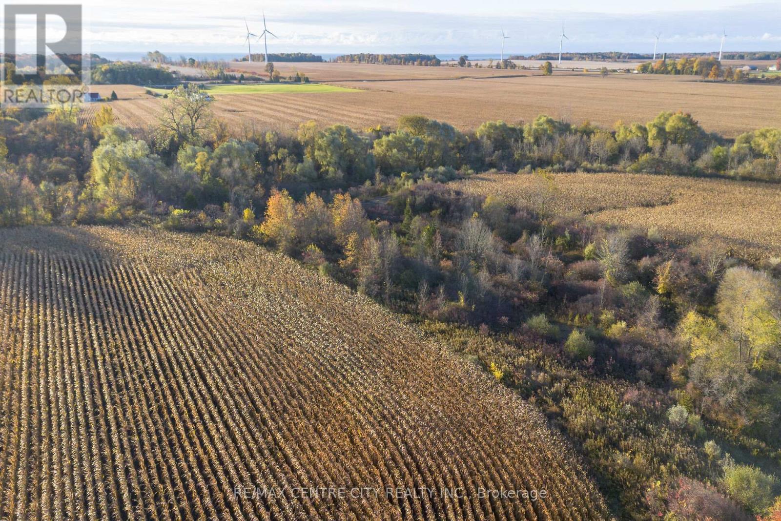 15859 Talbot Trail, Chatham-Kent, Ontario  N0L 1X0 - Photo 10 - X12528136